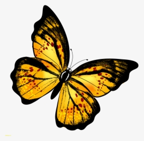 Monarch Butterfly Clipart Hindu God - Butterfly Yellow Gif Png, Transparent Png, Transparent PNG