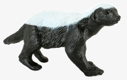 Honey Badger Png, Transparent Png, Transparent PNG