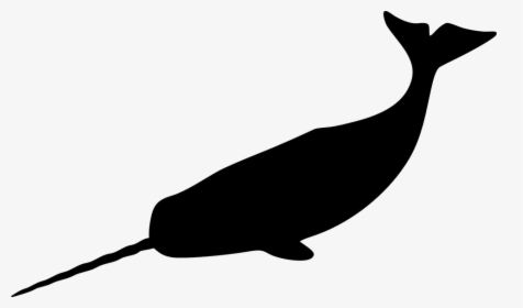 Narwhal, Tusk, Mammal, Whale, Arctic, Tooth, Marine - Narwhal Silhouette, HD Png Download, Transparent PNG