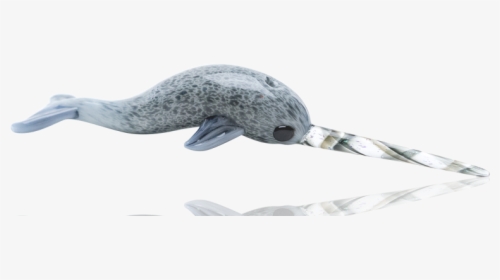 Custom Glass Ned The Narwhal Dabber By Empire Glassworks - Humpback Whale, HD Png Download, Transparent PNG