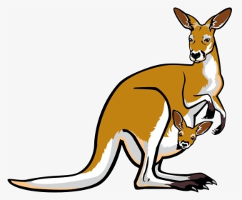 Red Kangaroo Pouch Illustration - Transparent Background Kangaroo Cartoon, HD Png Download, Transparent PNG