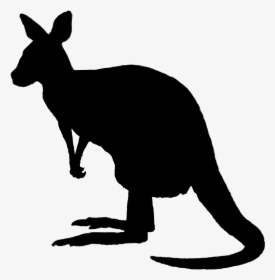 Kangaroo Silhouette Png Image - Kangaroo Silhouette Black, Transparent Png, Transparent PNG