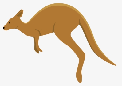 Transparent Background Kangaroo Clipart, HD Png Download, Transparent PNG
