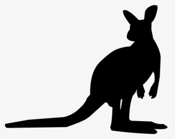 Kangaroo, Silhouette, Animal, Australia, Wildlife - Kangaroo Cartoon Silhouette, HD Png Download, Transparent PNG