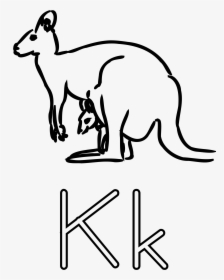 K Is For Kangaroo Clip Arts - Kangaroo Coloring, HD Png Download, Transparent PNG