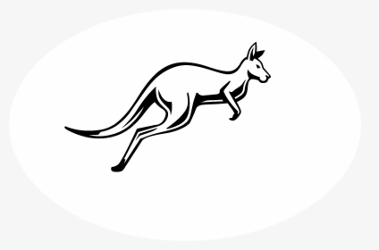 Red Kangaroo Black And White, HD Png Download, Transparent PNG