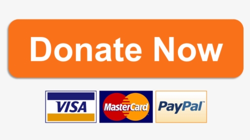 Donate Now Button Png - Donate Now Orange Button, Transparent Png, Transparent PNG