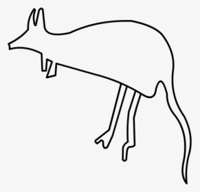 Kangaroo - Kangaroo Drawn, HD Png Download, Transparent PNG