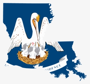Flag Map Of Louisiana Accurate - Pelican Feeding Young Blood, HD Png Download, Transparent PNG