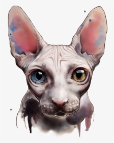 Vector Cats American Curl - Hairless Cat Watercolour, HD Png Download, Transparent PNG