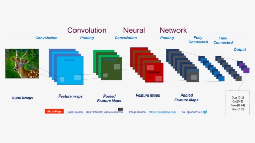 Everything You Need To Know About Convolutional Neural - Convolutional Neural Networks Work, HD Png Download, Transparent PNG