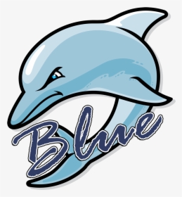 Blue Dolphins Logo - Fort Myers Middle Academy, HD Png Download, Transparent PNG