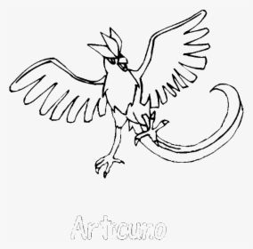 Pokemon Coloring Pages Articuno, HD Png Download, Transparent PNG