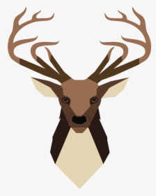 Transparent Deer Skull Png - Elk, Png Download, Transparent PNG