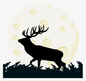 Buck Deer And Moon Transparent Clipart Png Elk Png - Elk, Png Download, Transparent PNG