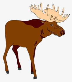 Image Of Moose Free - Moose Clipart Png, Transparent Png, Transparent PNG