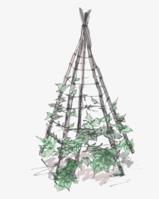 Plant Teepee , Png Download - Christmas Tree, Transparent Png, Transparent PNG