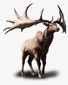 Elk Png Free Background - Elk, Transparent Png, Transparent PNG