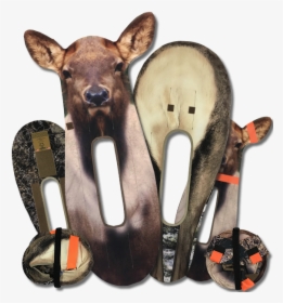 Deer, HD Png Download, Transparent PNG