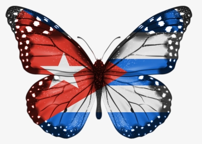 Butterfly Isolated, HD Png Download, Transparent PNG