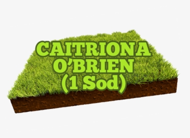 Caitriona O Brien - Opening Soon Banner, HD Png Download, Transparent PNG
