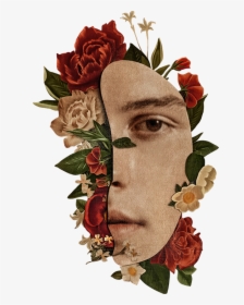 Shawn Mendes - Shawn Mendes Nowy Album, HD Png Download, Transparent PNG