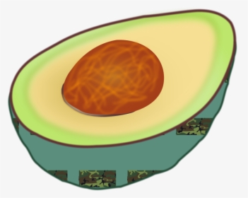 Avocado Clip Art , Transparent Cartoons - Avocado Clip Art, HD Png Download, Transparent PNG