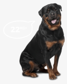 Big Dogs - Bi-monthly - Rottweiler Labrador German Shepherd, HD Png Download, Transparent PNG