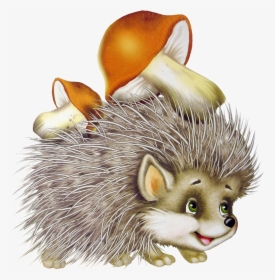 Hedgehog Png - Ежик Png, Transparent Png, Transparent PNG