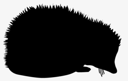 Hedgehog Clipart Silhouette - ハリネズミ イラスト シルエット, HD Png Download, Transparent PNG