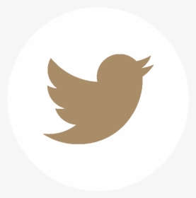 - Social Media Icons Vector Twitter , Png Download - Twitter Marca De Agua, Transparent Png, Transparent PNG