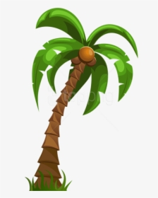 Free Png Download Palm Png Images Background Png Images - Coconut Tree With Transparent Background, Png Download, Transparent PNG