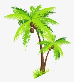 Palm Tree Beach Images Png Image - Transparent Background Coconut Tree Clipart, Png Download, Transparent PNG