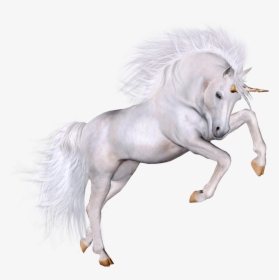 White Unicorn Transparent Background, HD Png Download, Transparent PNG