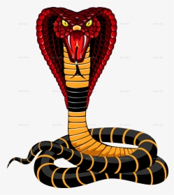 Cobra Png Image - Cobra Snake Clipart, Transparent Png, Transparent PNG