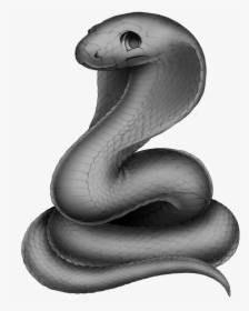 Snake Cobra Base , Png Download - Cat And Snake Hybrid, Transparent Png, Transparent PNG