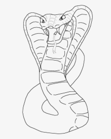 Transparent Drawing Instructions King Cobra - Drawing Of Cobra Head, HD ...