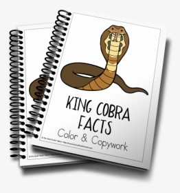Transparent King Cobra Png - 3d Life Cycle Of Butterfly, Png Download, Transparent PNG