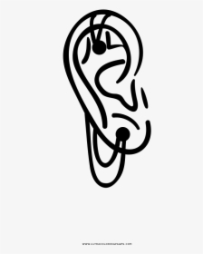 Ear Piercing Coloring Page - Piercing Desenho, HD Png Download, Transparent PNG