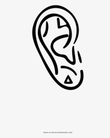 Ear Piercing Coloring Page - Calligraphy, HD Png Download, Transparent PNG