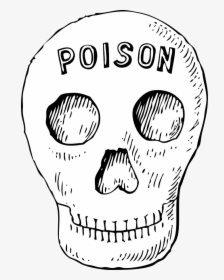 Poison Skull Svg Clip Arts - Poison Skull Clipart, HD Png Download, Transparent PNG