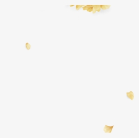 Wild Troye Sivan Png , Png Download - Sunflower, Transparent Png, Transparent PNG