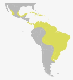 United Central Subregion States Latin America South - South America Called Latin America, HD Png Download, Transparent PNG