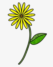 Cartoon Flower With Stem Clipart , Png Download - Flowers Drawing With Stem, Transparent Png, Transparent PNG