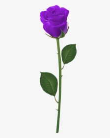 Clip Art Purple Stem Flower - Orange Rose With Stem, HD Png Download, Transparent PNG