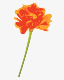 Orange Flower With Stem, HD Png Download, Transparent PNG