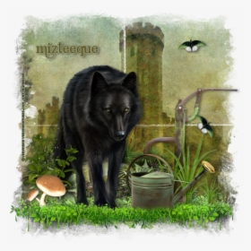 Black Norwegian Elkhound, HD Png Download, Transparent PNG