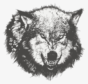 Sketch Painted Dog Vector Wolf Black Drawing Clipart - Wolf Angry Face Vector, HD Png Download, Transparent PNG