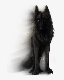 Fera Corda By Sidonie - Black Wolf White Background, HD Png Download, Transparent PNG