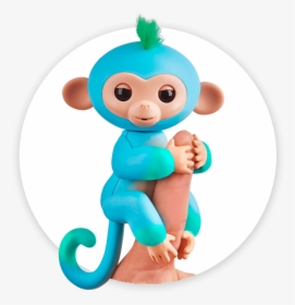 Fingerlings Monkey 2tone Ombre Charlie - Blue And Green Fingerlings, HD Png Download, Transparent PNG